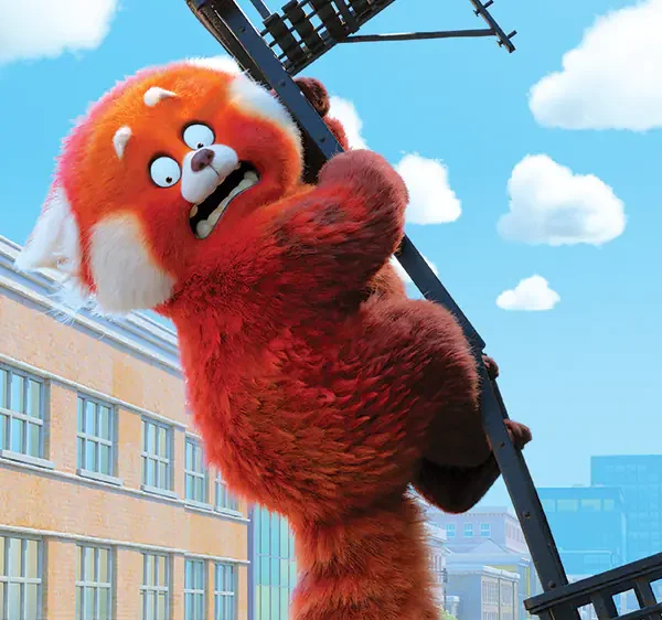 image 312.png