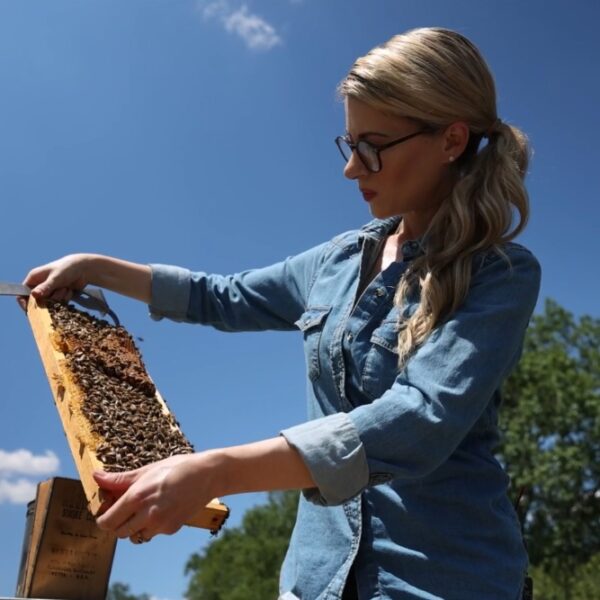 Bee Wild