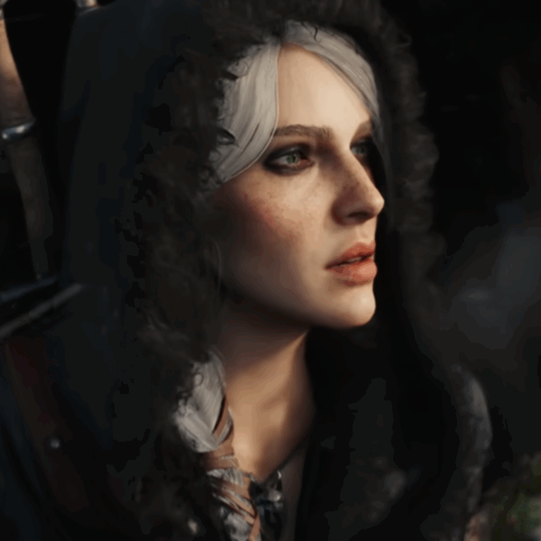 The Witcher 4