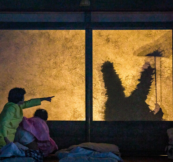 My Neighbour Totoro1