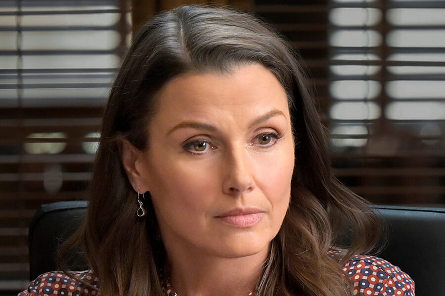 bridget blue bloods