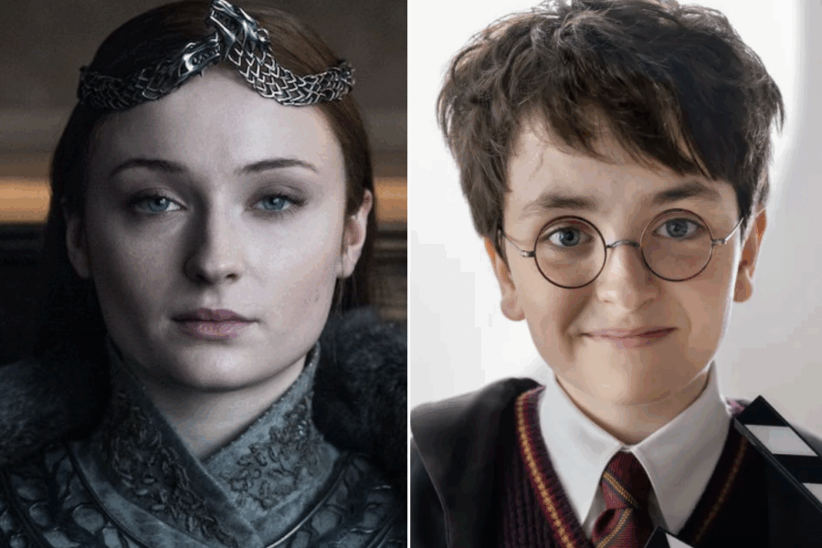 sansa harry