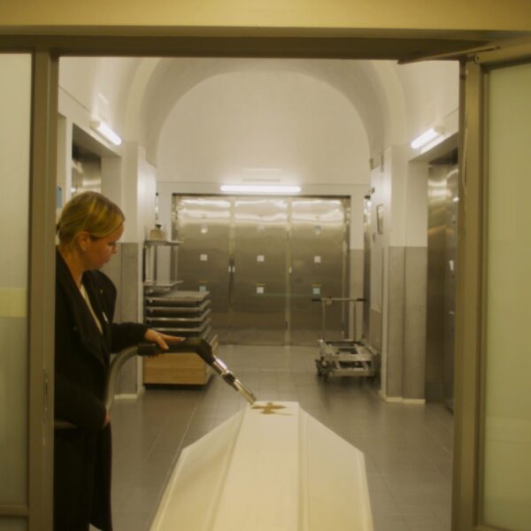 MixCollage 26 Sep 2025 03 31 PM 6255