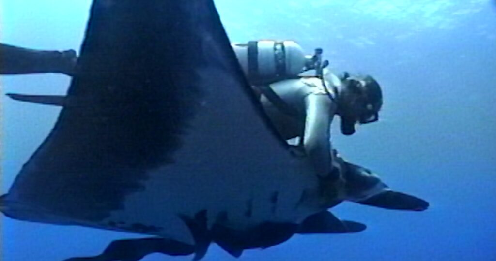 THELASTDIVE Joyce Clinton 1