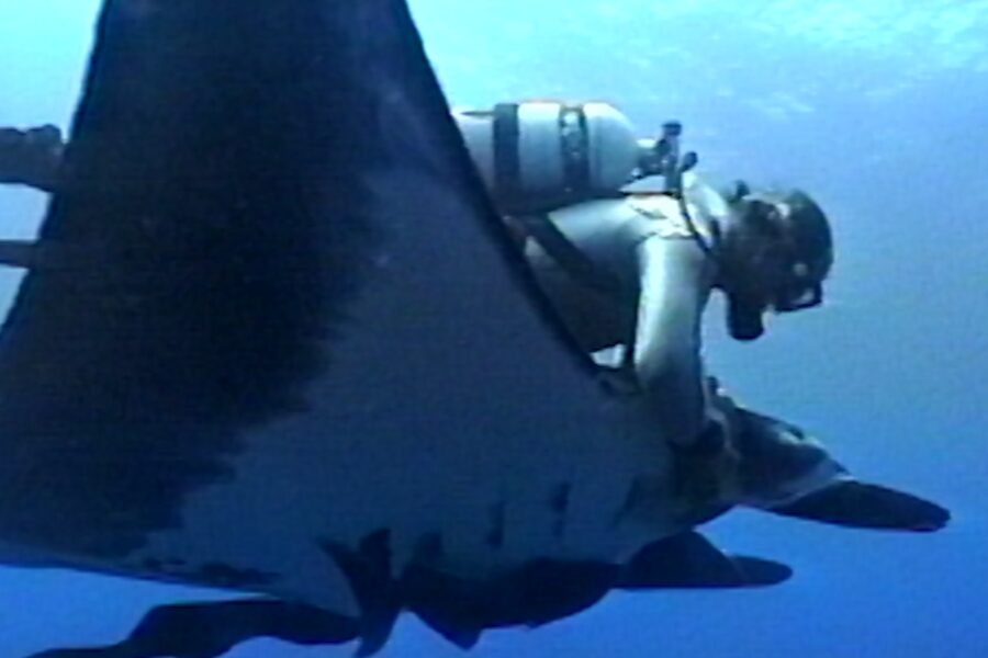 THELASTDIVE Joyce Clinton 1
