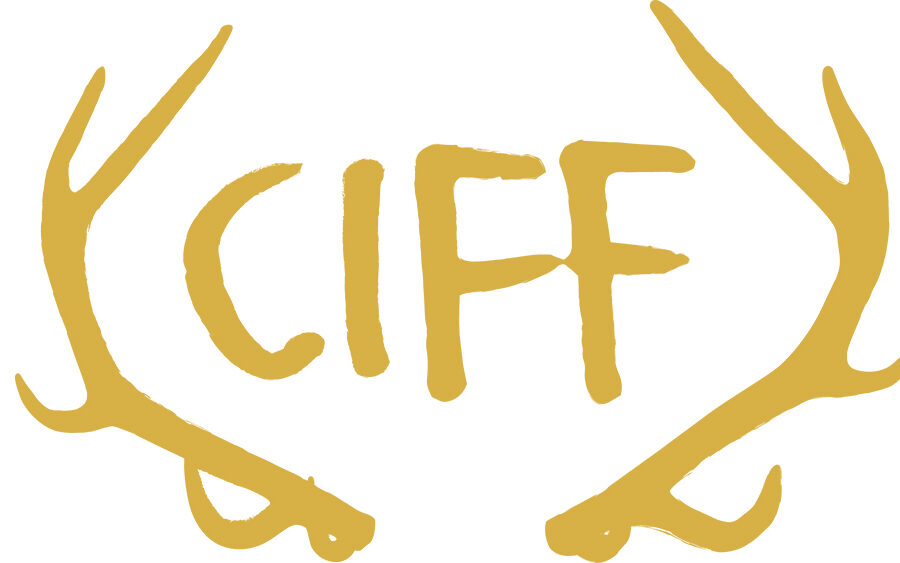 camden internation film festival