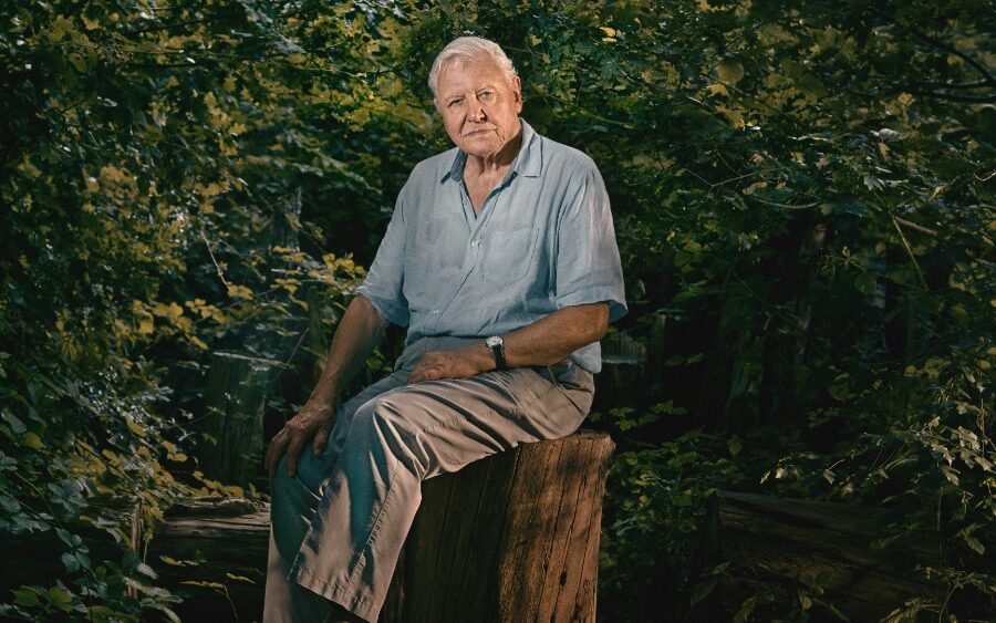 David Attenborough