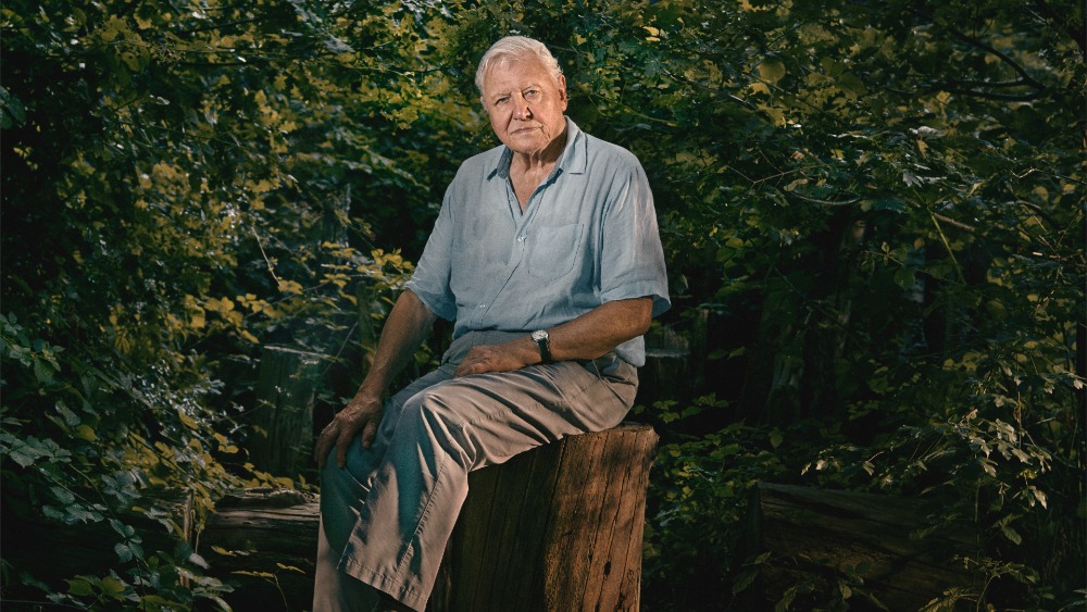 David Attenborough