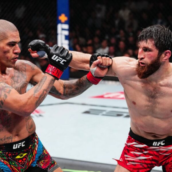 UFC 320 Ankalaev vs. Pereira 2 Featured