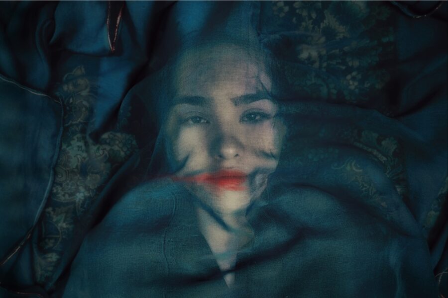 A Fox Under a Pink Moon