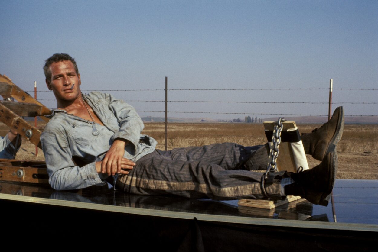 MixCollage 07 Nov 2025 11 59 PM 4113