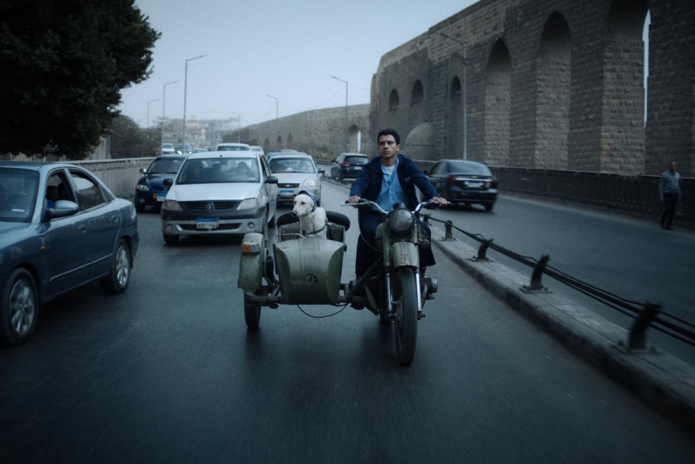 Seeking Haven for Mr. Rambo 1