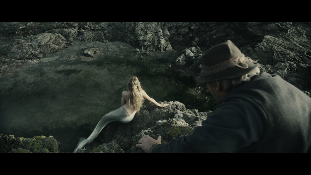 pearl comb herostills 0092458