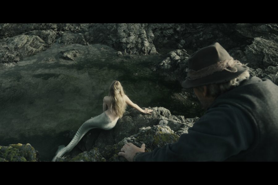 pearl comb herostills 0092458