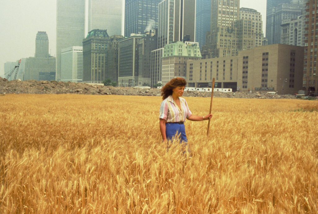 John McGrail Wheatfield – A Confrontation Battery Park Landfill Downtown Manhattan – With Agnes Denes Standing in the Field 1982. Courtesy of Agnes Denes