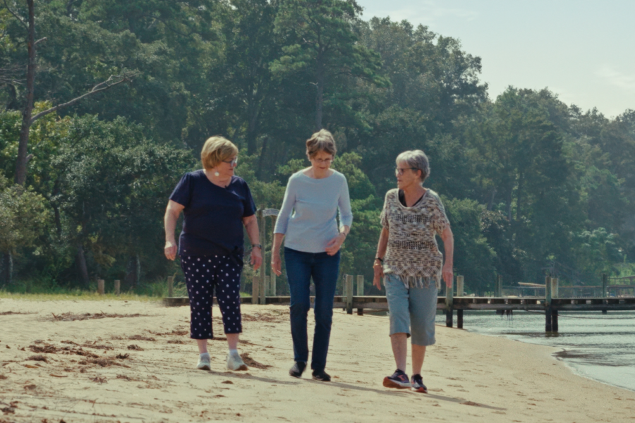 Sallies Ashes cropped2