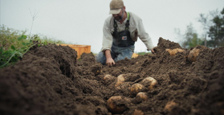 Fork in the Road stills